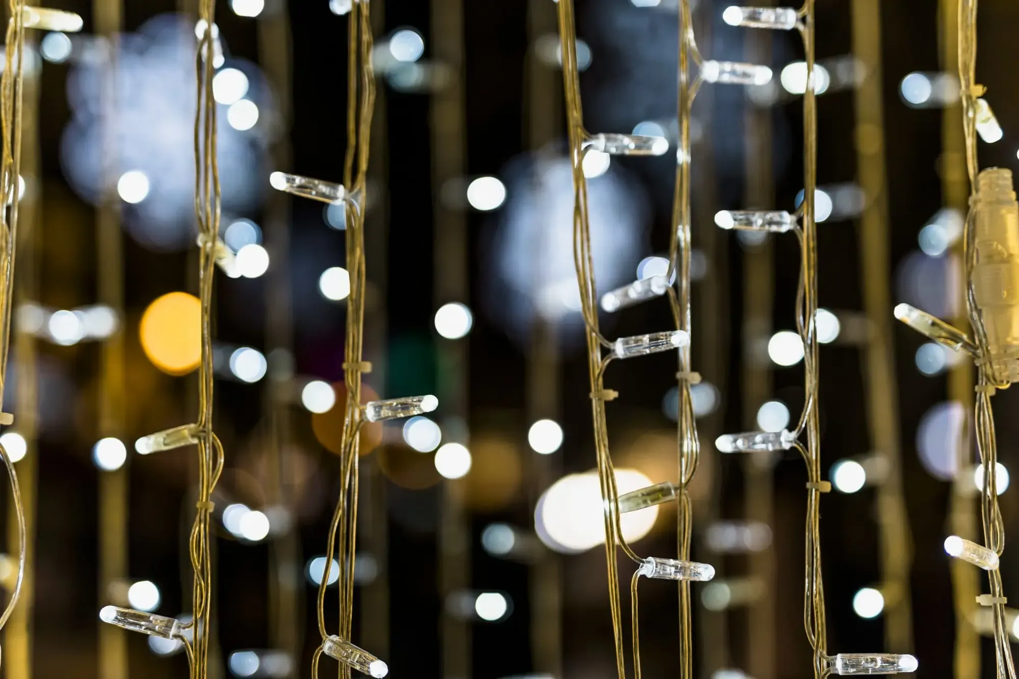 Close-up of warm fairy lights